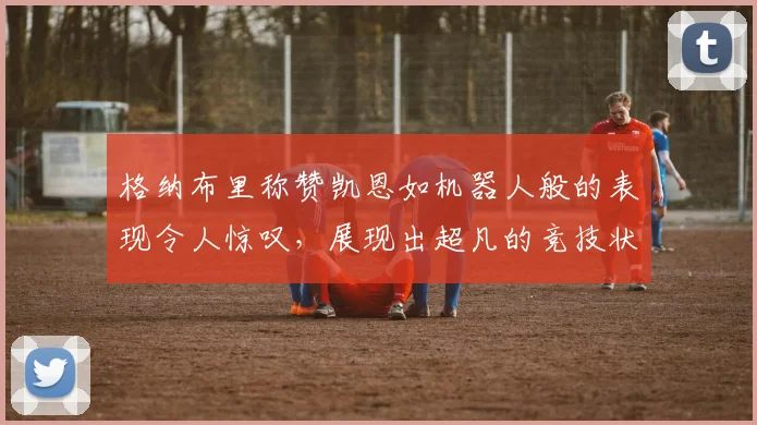 格纳布里称赞凯恩如机器人般的表现令人惊叹，展现出超凡的竞技状态